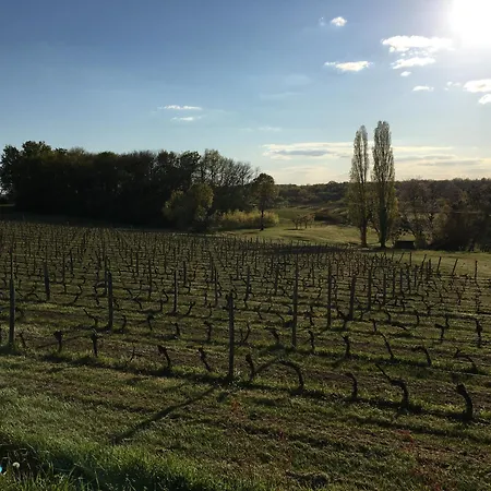 Chateau Masburel Bed & Breakfast