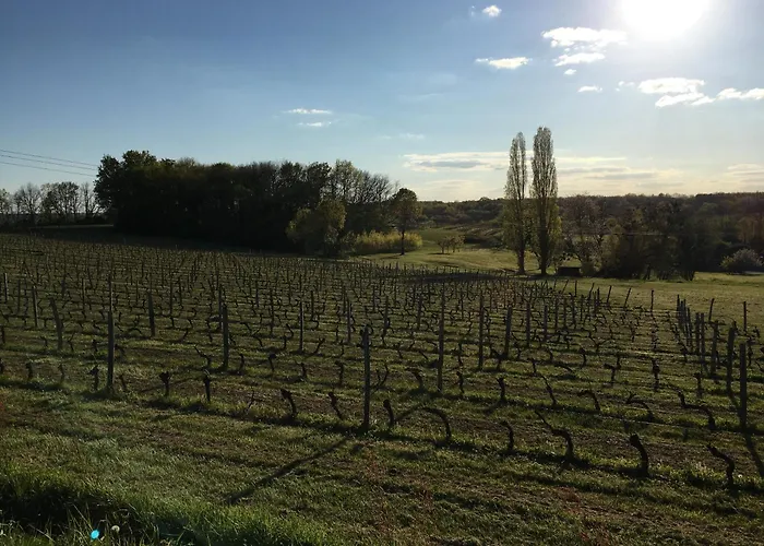 Chateau Masburel Bed & Breakfast